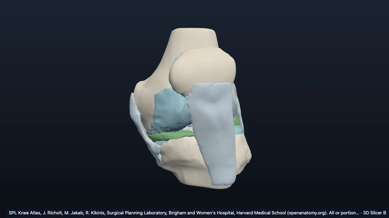 Types of joints