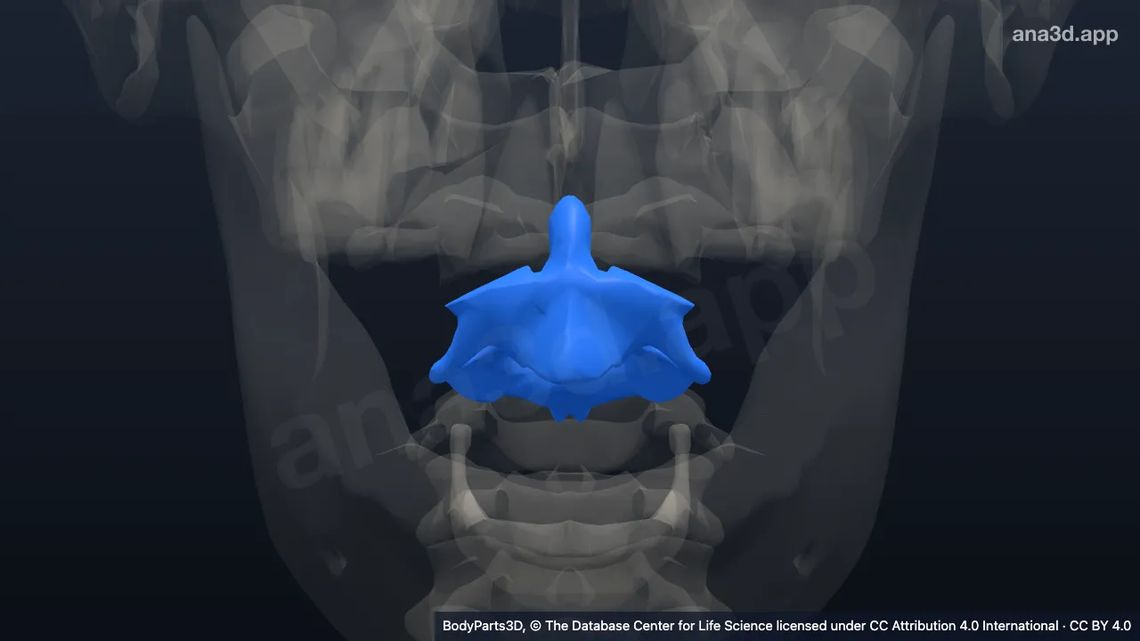 3D model: axis