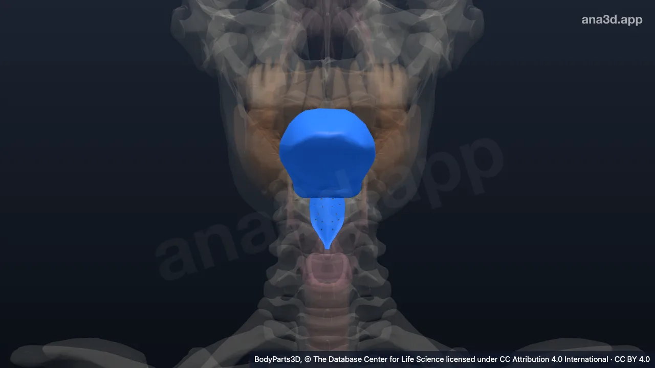 Modelo 3D: Agrupación heterogénea