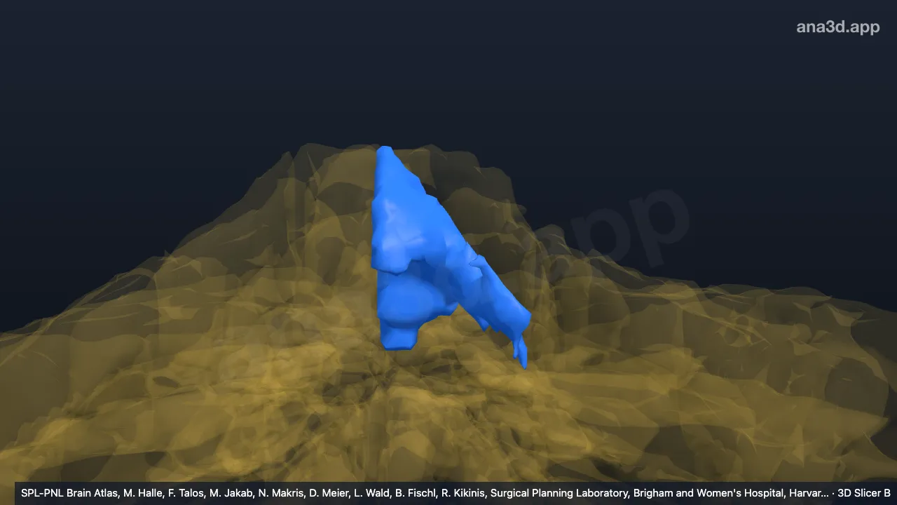 Modèle 3D : III-v gauche