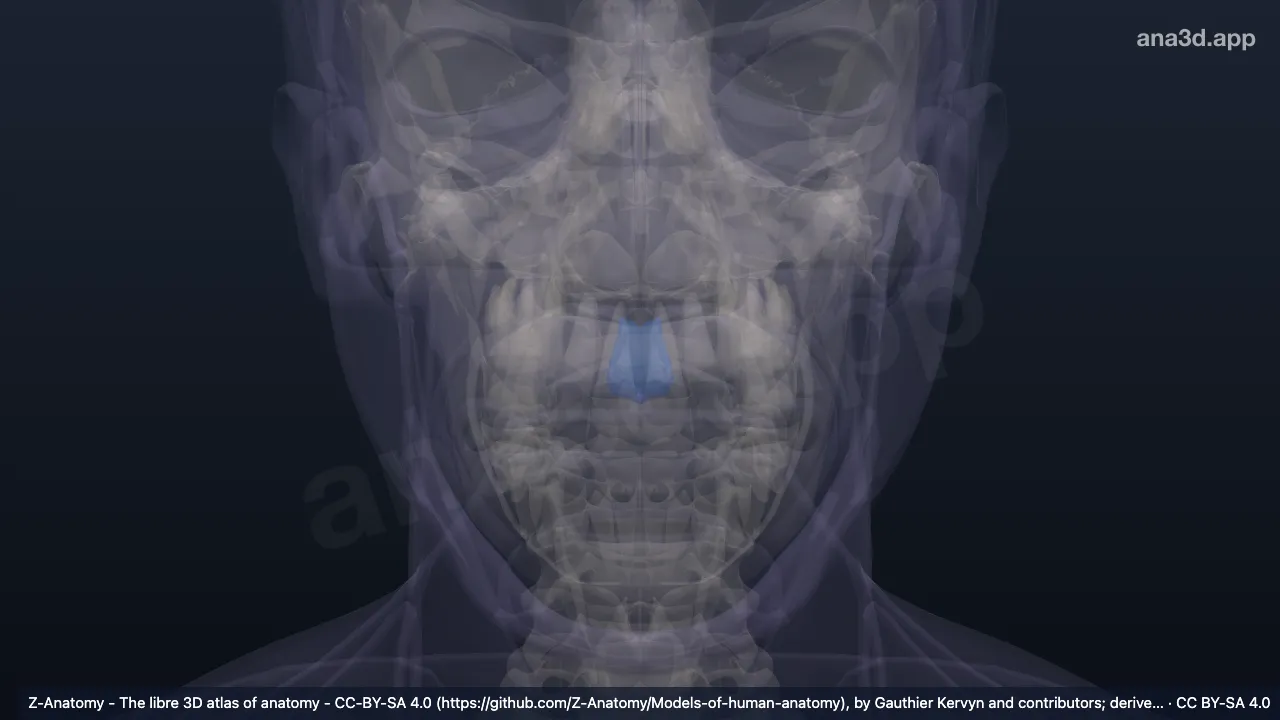 Modelo 3D: Filtro