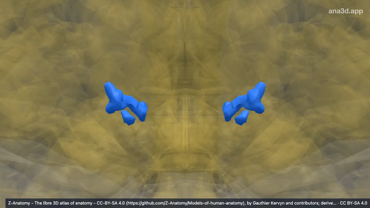 Modèle 3D : (Sillon lunaire)