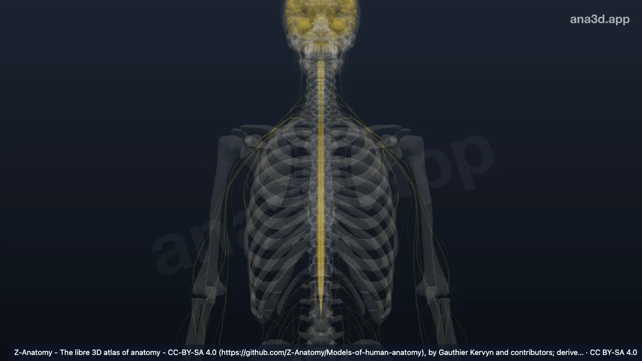 3D-Modell: Grenzstrang