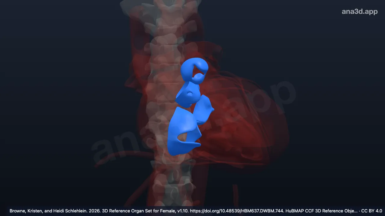 3D-Modell: Klappe